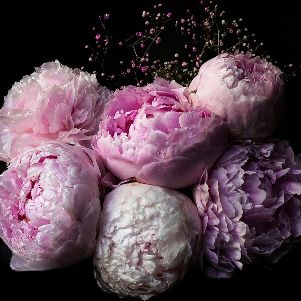 Meet your Posher, Angie